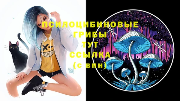 кокаин Гусь-Хрустальный