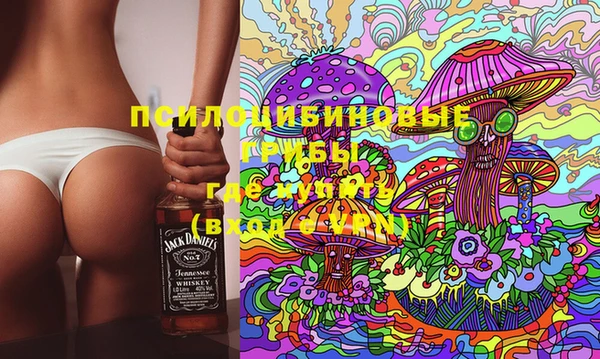 Альфа ПВП Гусев