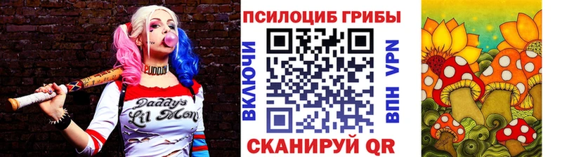 Псилоцибиновые грибы Psilocybine cubensis  Бирск 