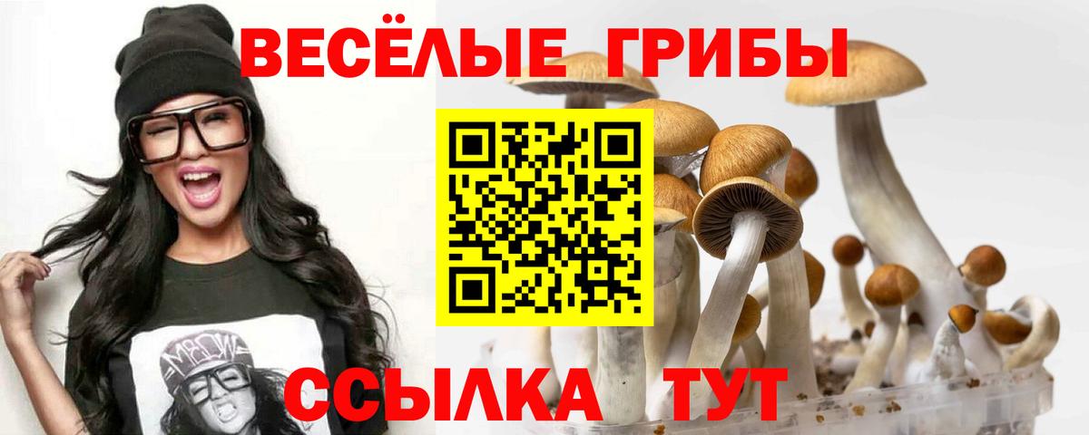 Галлюциногенные грибы прущие грибы Бирск